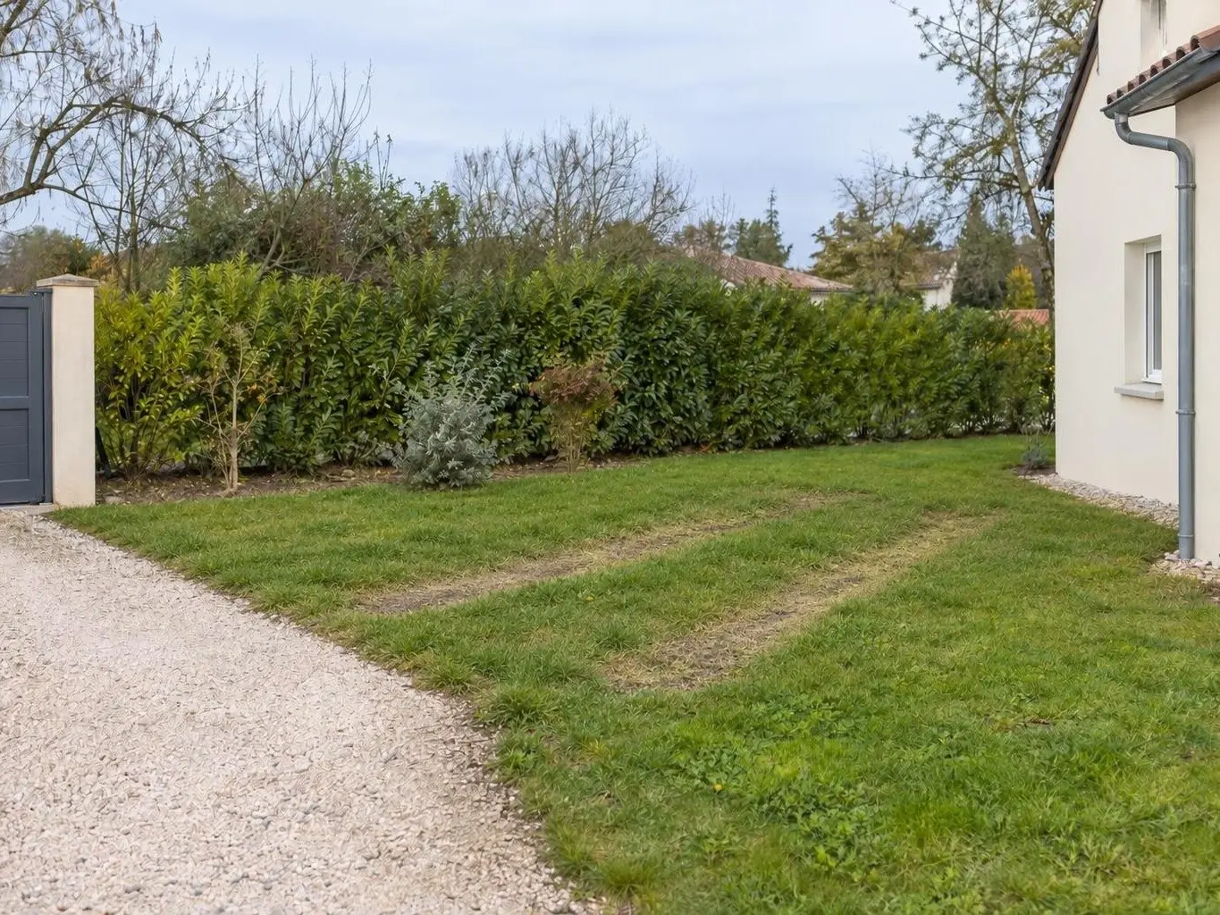 Pelouse le long d'un pavillon marquée de deux traces de roues jaunies, près d'une allée de gravier clair