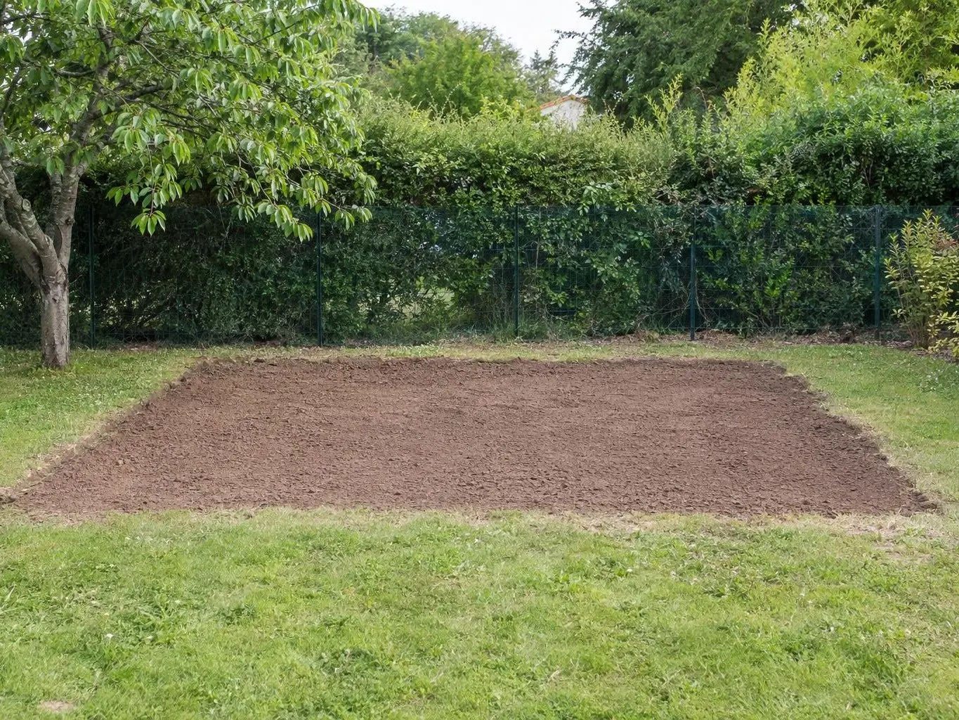 Rectangle de terre brune remise à plat au fond d'un jardin, devant une clôture en grillage vert, cerisier à gauche